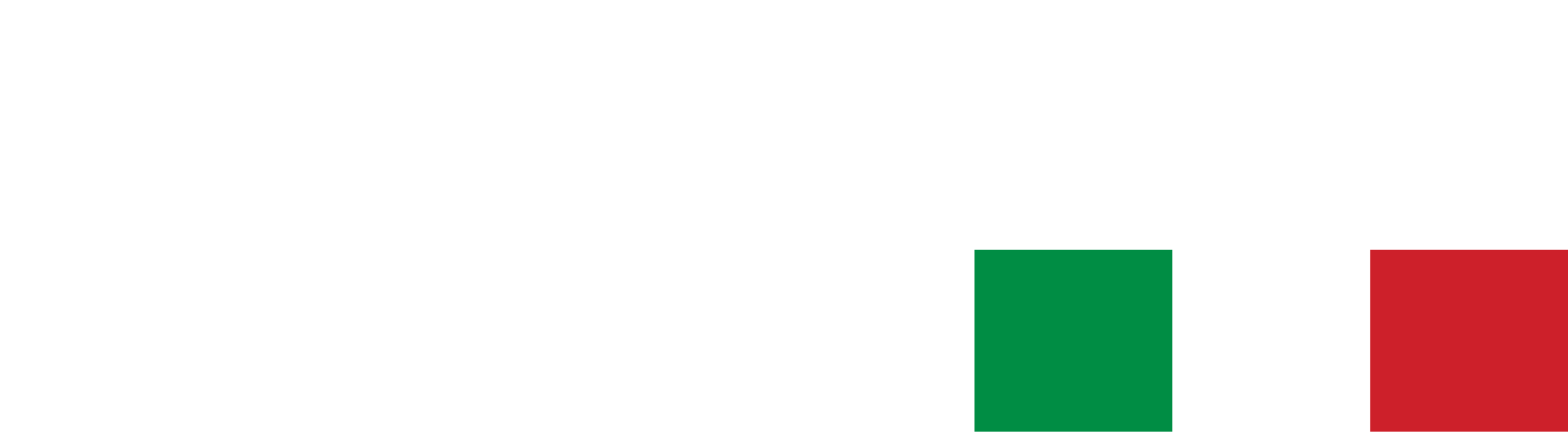 Italian Rib Boats Logo wit